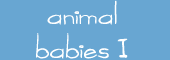 animal babies