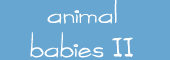 animal babies